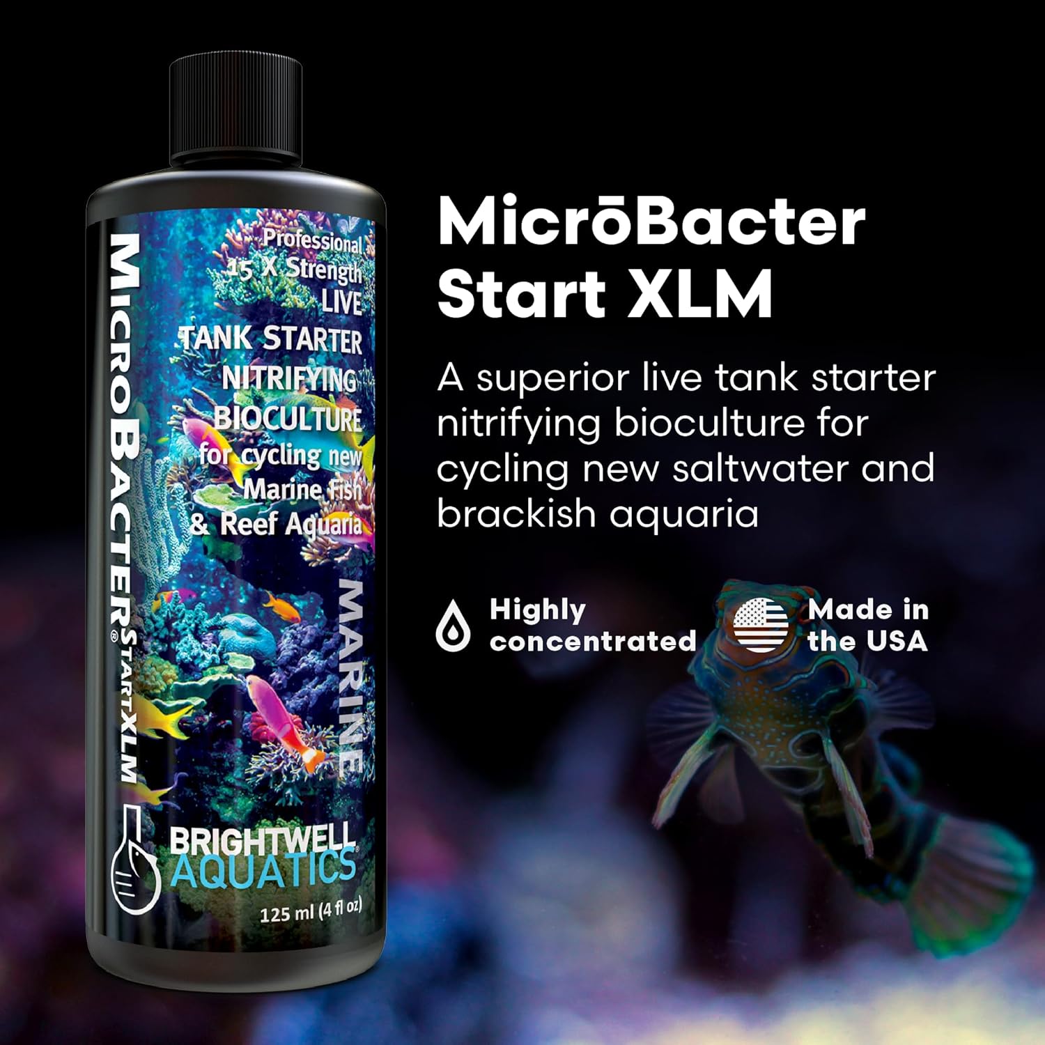 Brightwell Aquatics MicroBacter Start XLM – Bactéries nitrifiantes d'eau douce concentrées – Démarrage rapide des niveaux de microbes et filtrage de l'eau – Traitements de l'eau d'aquarium, 125 ml 125-ML