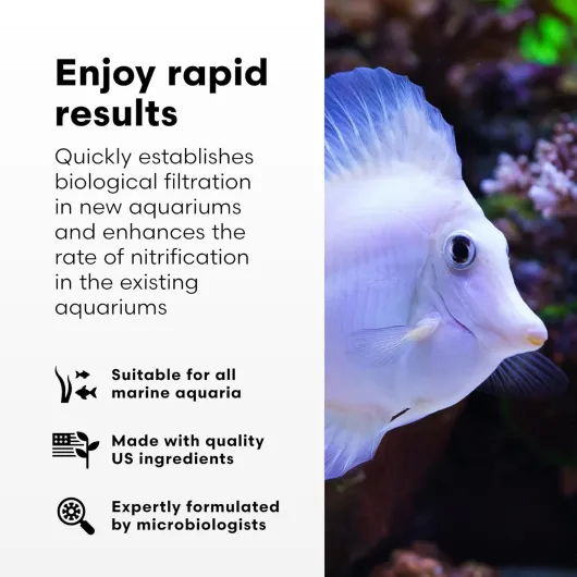 71w B2MKTGL._AC_SL1500_