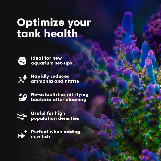 810F0JnTmVL._AC_SL1500_