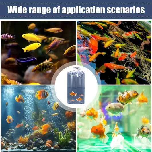 81X1wdnlSyL._AC_SL1500_