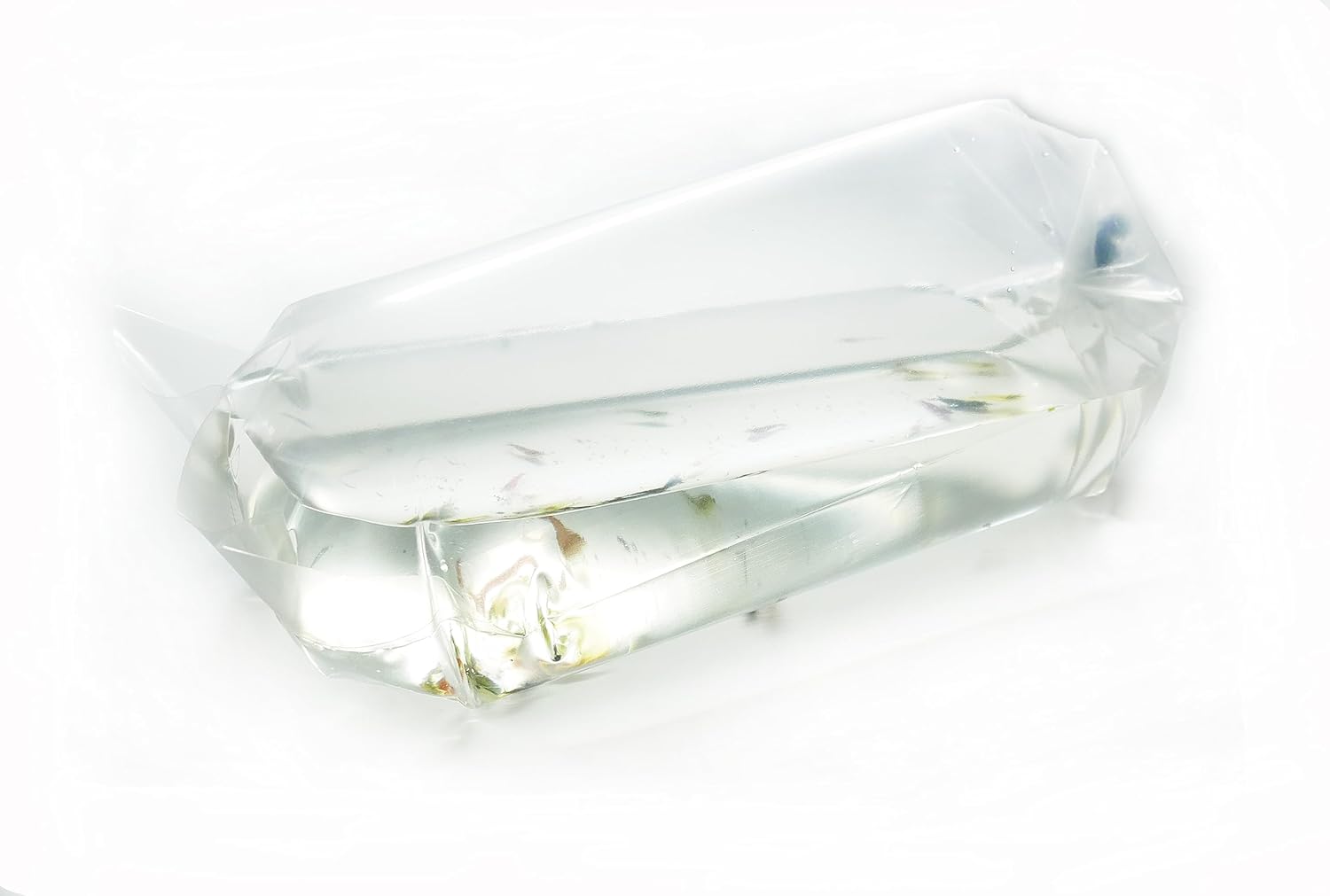 Lot de 50 sacs de transport de 20 x 44 cm + 50 caoutchoucs pour crevettes, poissons, escargots et plantes, fabriqué en Allemagne