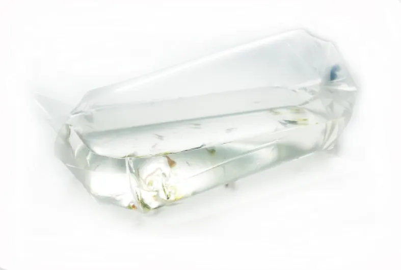 Lot de 50 sacs de transport de 20 x 44 cm + 50 caoutchoucs pour crevettes, poissons, escargots et plantes, fabriqué en Allemagne