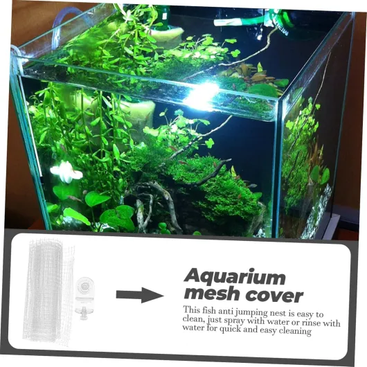 81IpgtL2t L._AC_SL1500_