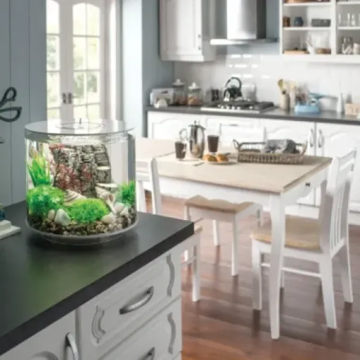 Test biOrb Aquarium Tube 15 : joli petit bac design, mais avec quelques limites