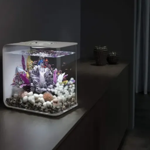 Test biOrb Flow 15 MCR : un petit aquarium design, pratique mais pas parfait