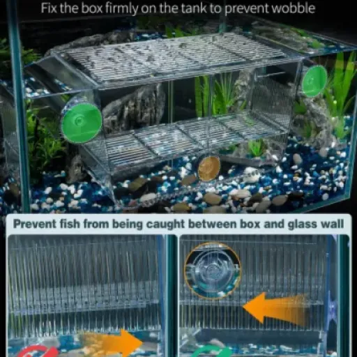 Test Pawfly Incubateur Aquarium Acrylique : pratique pour isoler, mais attention à la fragilité