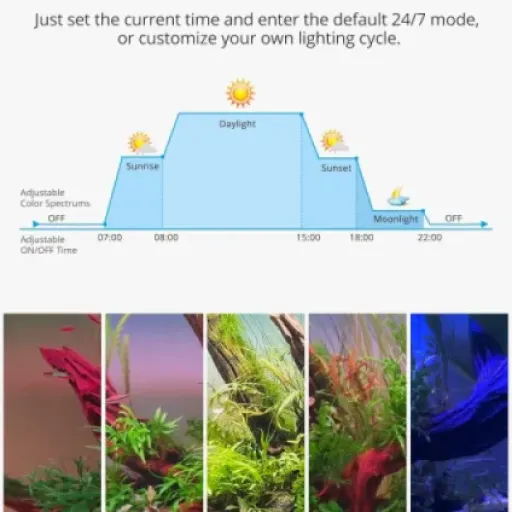 Test NICREW RGB+W 24/7 : une rampe LED complète pour aquarium planté sans se ruiner