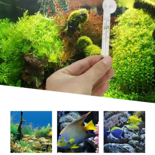 Test lot de 12 thermomètres d’aquarium en verre : pas chers, simples, mais avec quelques limites