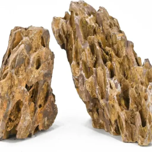 Test Unocho Dragon Stone 2,25 kg : des pierres qui font le job pour aquascape et terrarium