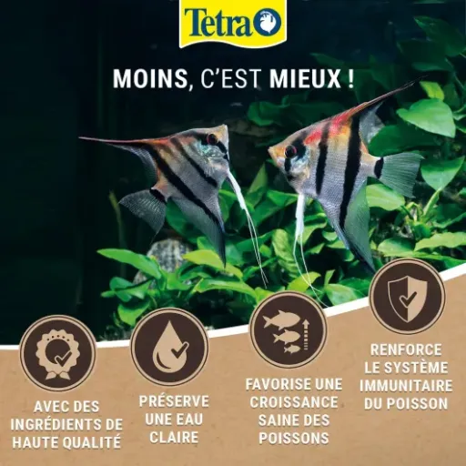 Test TetraMin Flakes Nutri Evolution 10 L : la grosse boîte qui nourrit longtemps sans trop salir l’eau