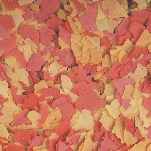 Test Tropical OVO-VIT 5L / 1kg : des flocons aux œufs pour booster la croissance… si on sait quand les utiliser