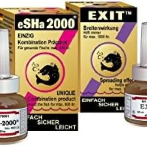 Test Pack eSHa Exit & 2000 : le duo de secours quand ton bac part en vrille