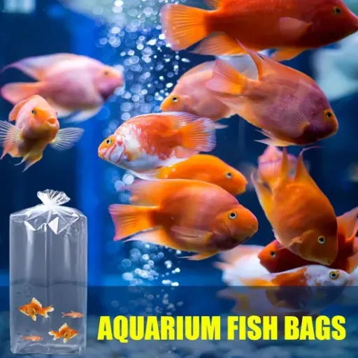 Test pochettes épaisses Hjatirace : des sacs de transport pour poissons qui font le job sans chichi