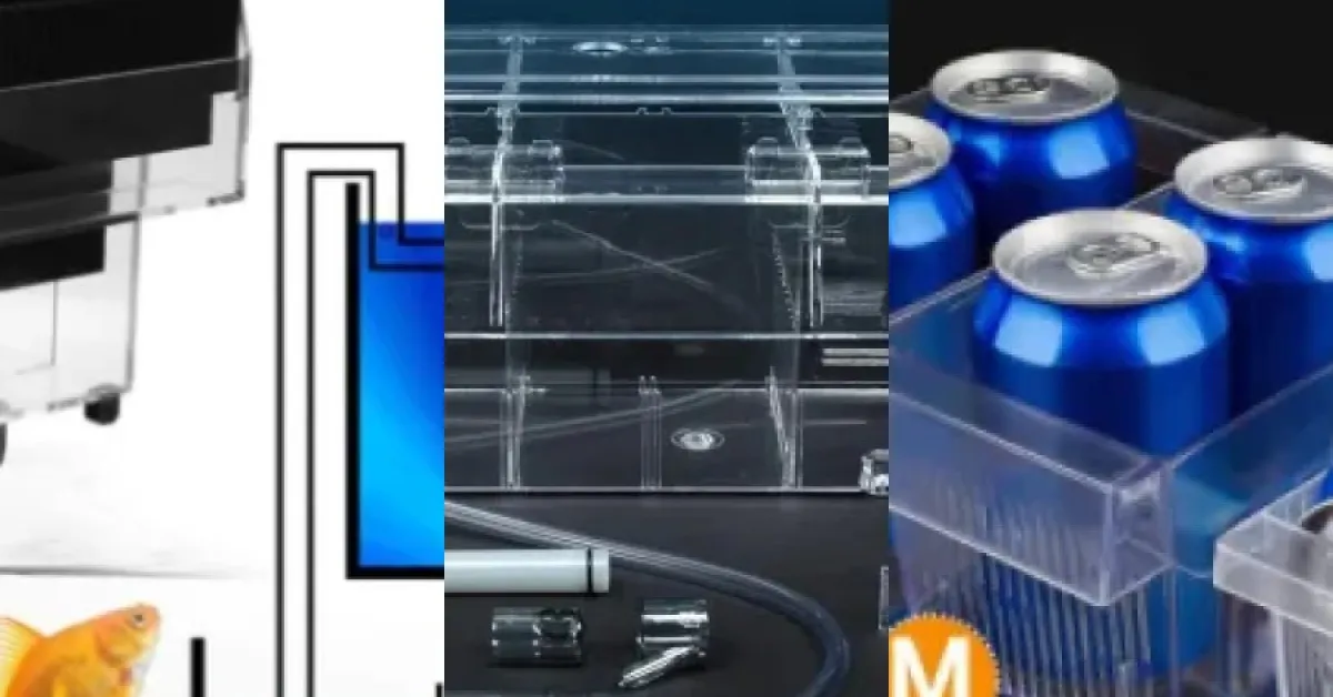 Comparatif des 5 meilleurs cuvettes de reproduction (avril 2026)