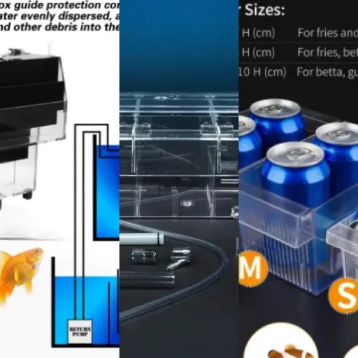 Comparatif des 5 meilleurs cuvettes de reproduction (avril 2026)