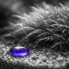 Notre sélection des 5 meilleurs spots pour nano-aquariums (2026)