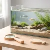 L'aquarium pour les enfants : un outil éducatif sous-estimé