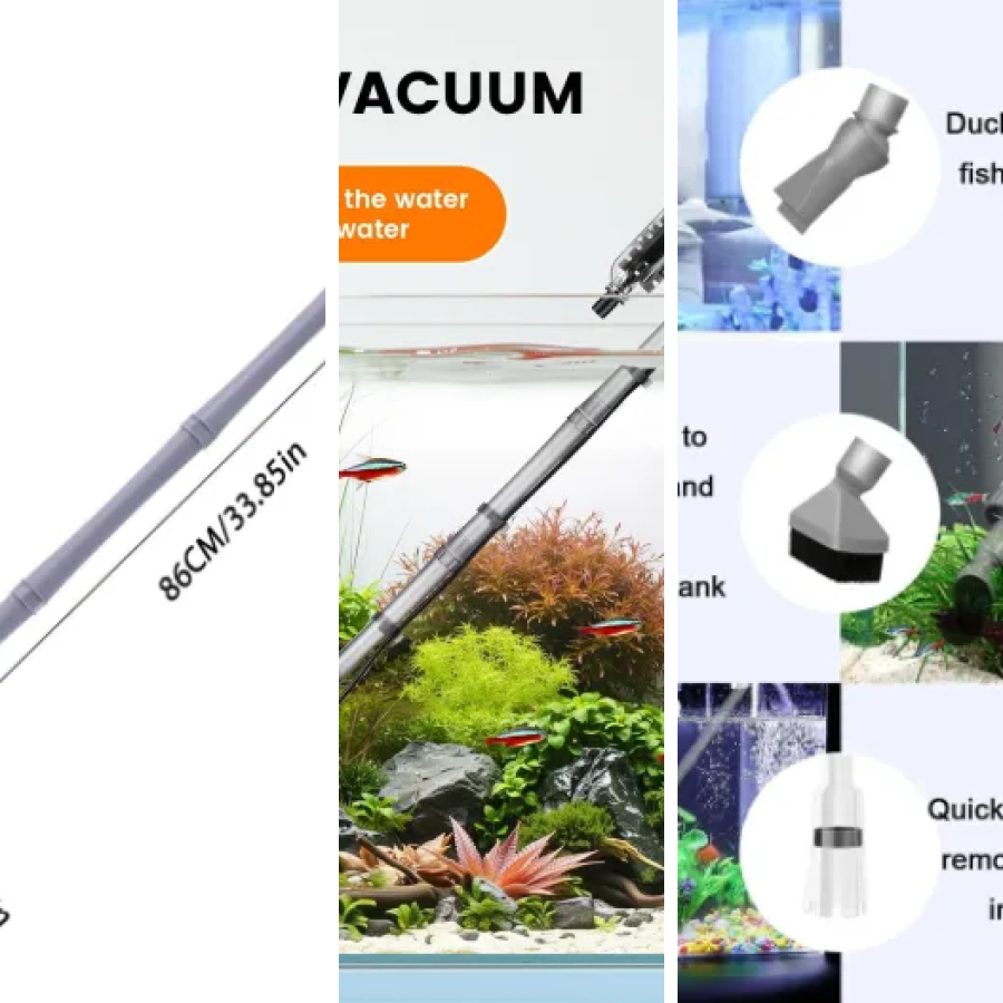 Les meilleurs siphons automatiques : notre top 6 (2026)