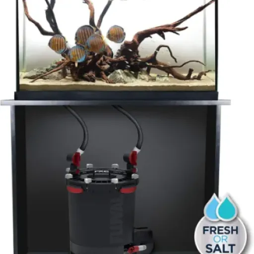 Test Fluval FX6 : le filtre costaud qui simplifie (un peu) la vie des gros bacs