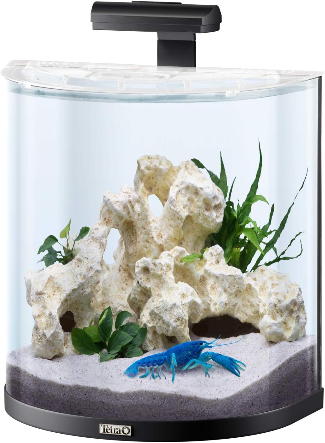AquaArt Explorer Line Aquarium pour Crabe Set Complet Capacité 30 l Noir