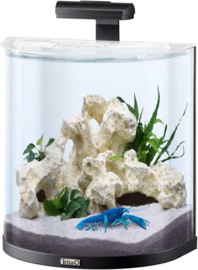 AquaArt Explorer Line Aquarium pour Crabe Set Complet Capacité 30 l Noir
