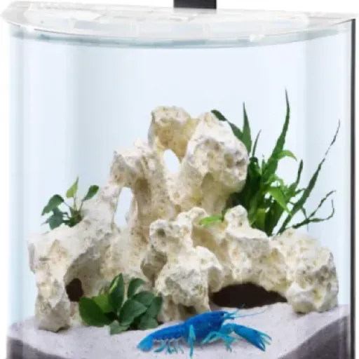 Test Tetra AquaArt Explorer Line 30L : un petit aquarium sympa mais pas parfait