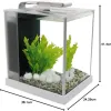 Test Fluval Aquarium Spec III 10 L Blanc : un petit bac propre pour débuter… avec quelques limites