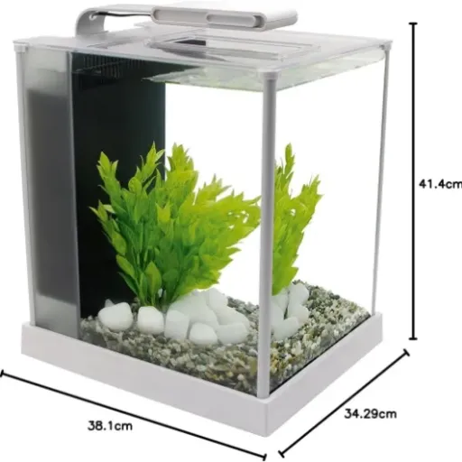 Test Fluval Aquarium Spec III 10 L Blanc : un petit bac propre pour débuter… avec quelques limites