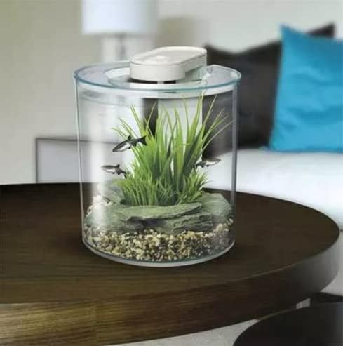 Marina 360 Aquarium with Remote Control LED Lighting, 10 Litre, Multicolour