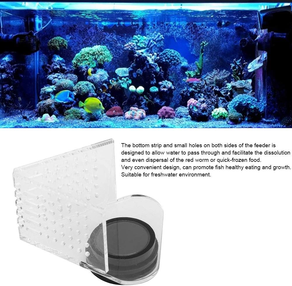 Mangeoire à Poisson ver Rouge Aquarium mangeoire à ver Rouge Tasse d'alimentation en vers de Vase Flottant Acrylique pour Aquarium et Aquarium