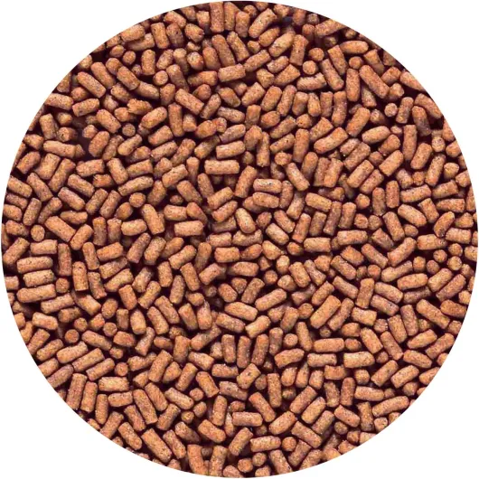 81tIzbkB-9L._AC_SL1500_