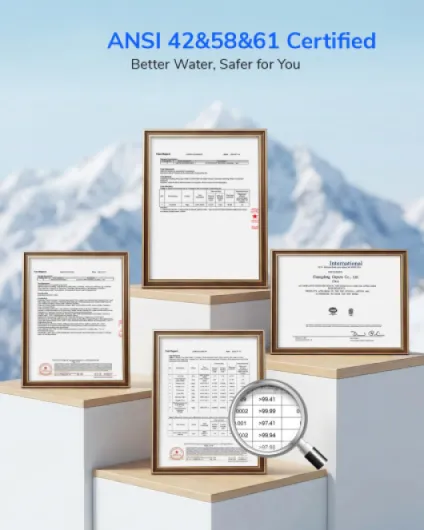 Ecoviva Osmoseur Inverse Sans Réservoir À 9 Étapes (800, Gallons) 800 Gallons