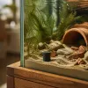 Aquarium connecté en 2026 : utile, gadget ou cheval de Troie pour notre vie privée ?