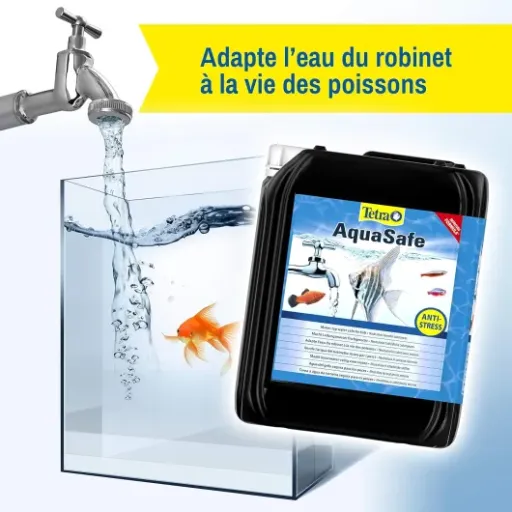 Test Tetra AquaSafe 5L : le bidon qui simplifie les changements d’eau