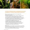 Test L'aquarium d'eau douce - Guide pratique du débutant : un bon point de départ pour se lancer sans faire n'importe quoi