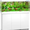 Test Juwel Rio 240 LED : l’aquarium clé en main qui tient la route (mais pas parfait)