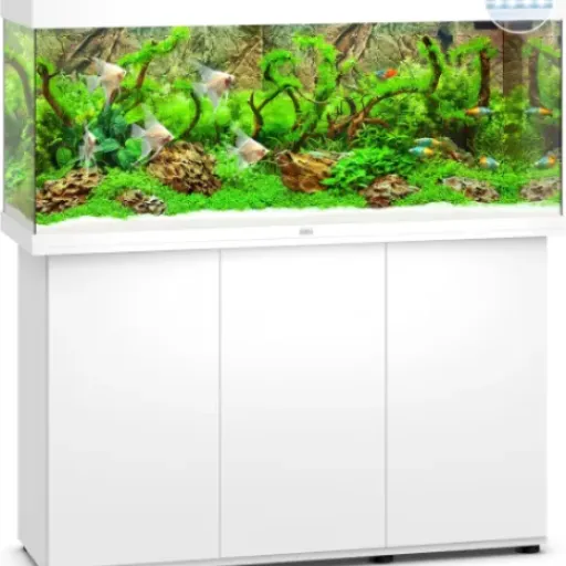 Test Juwel Rio 240 LED : l’aquarium clé en main qui tient la route (mais pas parfait)