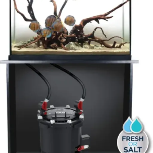 Test Fluval FX4 : le filtre externe costaud pour gros bacs qui fait le job (mais pas parfait)