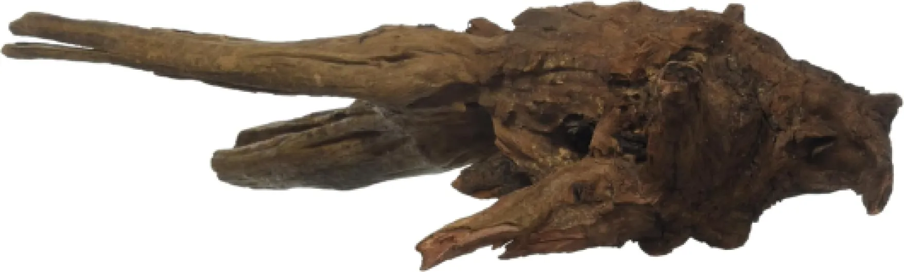 Mystic Wood - Décoration Aquarium - Bois en Forme de Racine pour Aquascaping et Aquariophilie - Accessoire Naturel pour Deco Aquarium, 40 cm 30-40 cm
