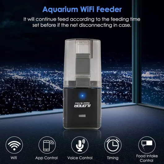 7199sGkDnvL._AC_SL1500_