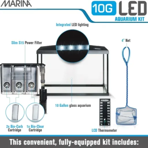 Test Marina Verre Kit LED 10G : un kit d’aquarium simple pour bien débuter (avec quelques limites)