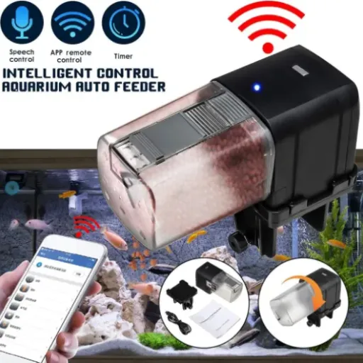 Test Lychee Distributeur Automatique Wi-Fi : le nourrisseur de poissons qui rassure (à peu près)