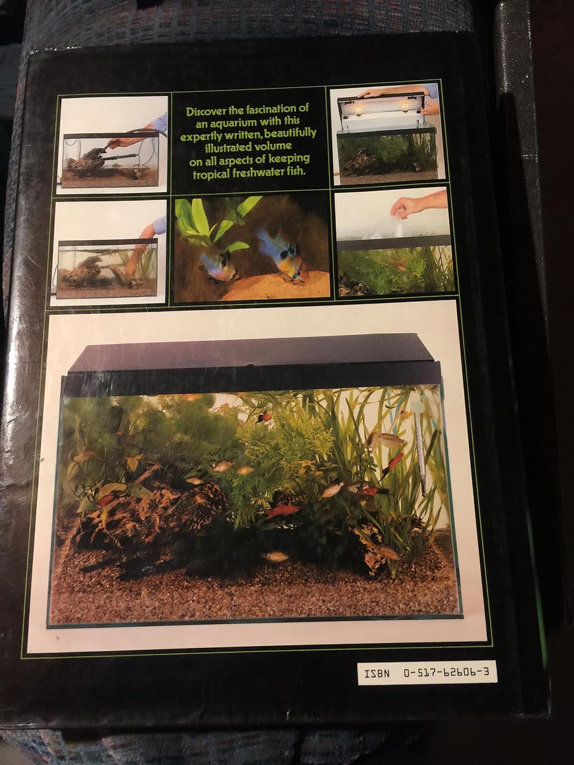 Encyclopedia Of Tropical Aquarium Fish
