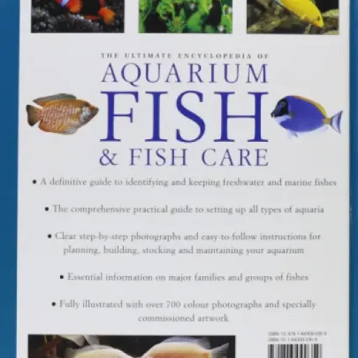 Test The Ultimate Aquarium : un gros guide pratique pour débuter (mais en anglais)