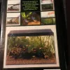Test Encyclopedia Of Tropical Aquarium Fish : un gros pavé vieux mais toujours utile pour les bacs d’eau douce