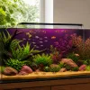 5 espèces robustes pour débuter sans drame en eau douce tropicale
