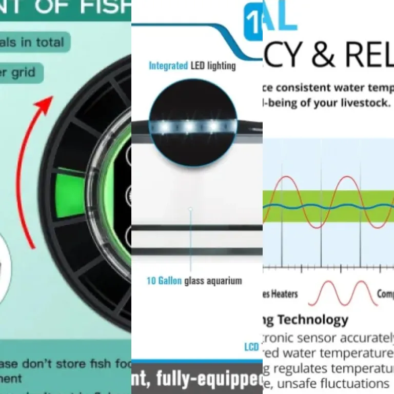 5 meilleurs technologies et innovations : notre comparatif (2026)