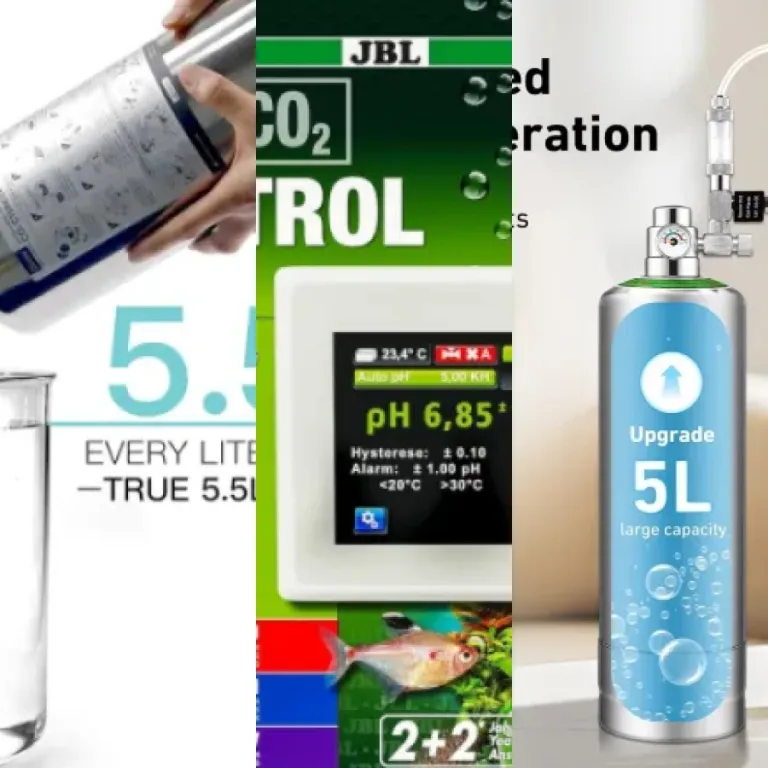 Top 5 : meilleurs systèmes CO2 complets (2026)