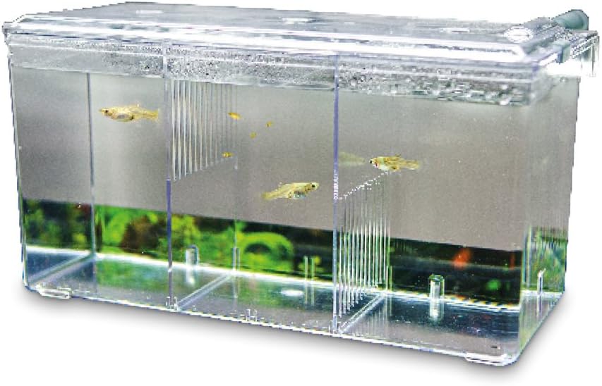 Hobby Bassin pondoir Externe avec Alimentation en air et Eau Nido 5 61390