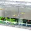 Test Hobby Nido 5 : le pondoir externe pratique quand l’aquarium est déjà plein
